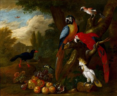 Two Macaws, a Cockatoo and a Jay, with Fruit by Jakob Bogdani or Bogdany